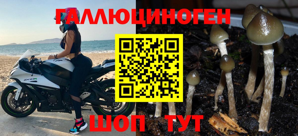 Галлюциногенные грибы ЛСД Корсаков